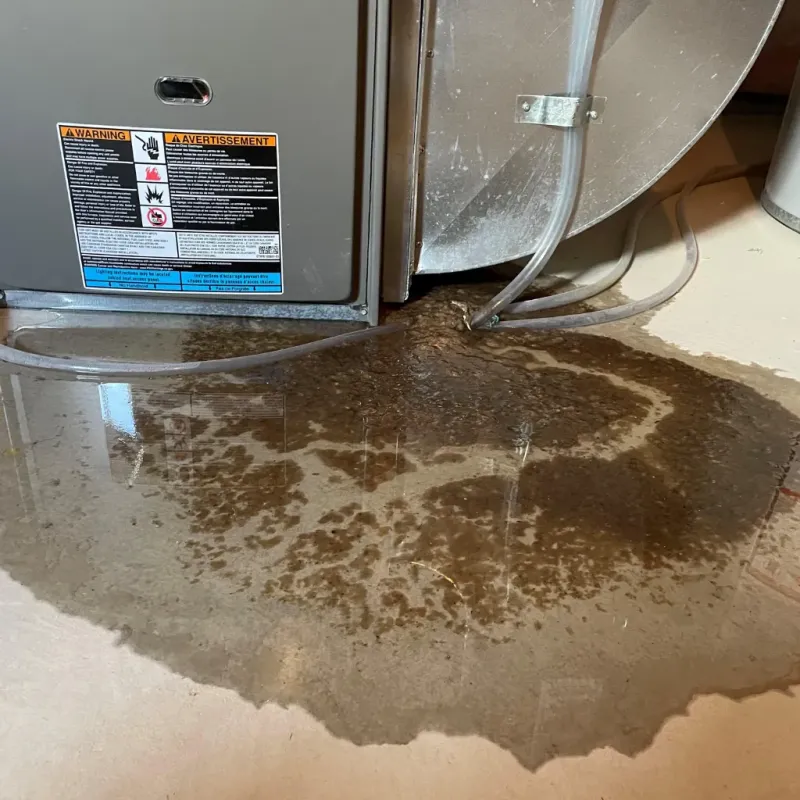 Appliance Leak Cleanup in Galena Park, TX